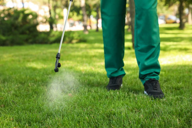 Insect Control in Catahoula, LA